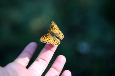 EEA launches                                                                                                           'Our environment : Our future' campaign